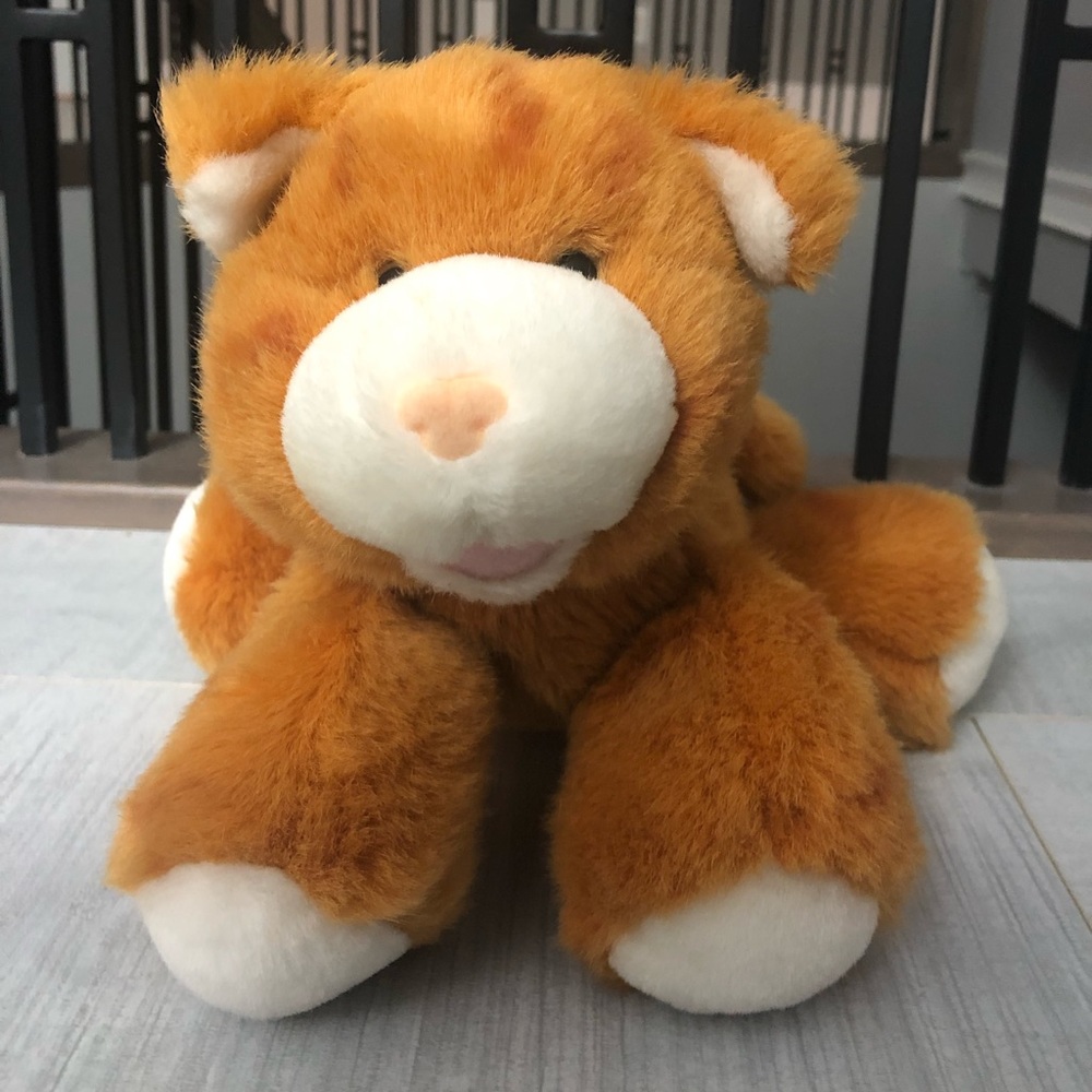 Light Orange Cat 🐱